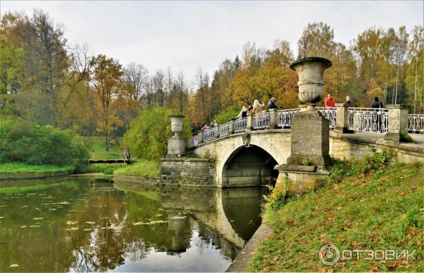 Прогулка по Павловскому парку (Россия, Санкт-Петербург, Павловск) фото