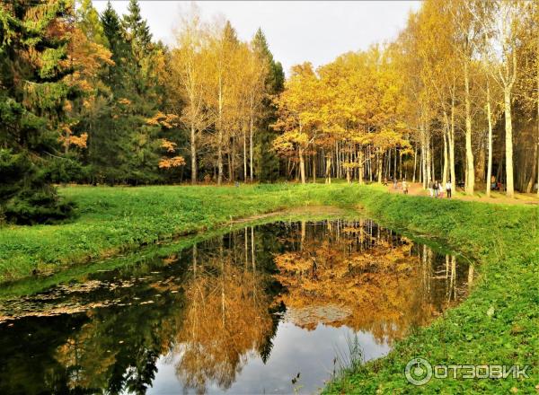 Прогулка по Павловскому парку (Россия, Санкт-Петербург, Павловск) фото