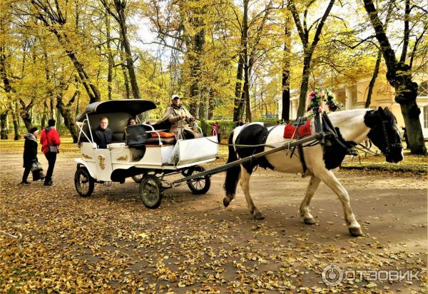 Прогулка по Павловскому парку (Россия, Санкт-Петербург, Павловск) фото