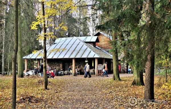 Прогулка по Павловскому парку (Россия, Санкт-Петербург, Павловск) фото