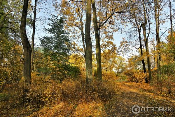 Прогулка по Павловскому парку (Россия, Санкт-Петербург, Павловск) фото