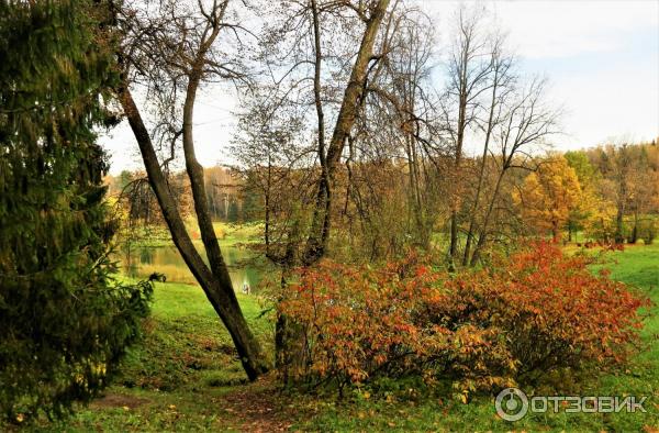 Прогулка по Павловскому парку (Россия, Санкт-Петербург, Павловск) фото