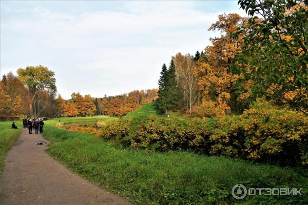 Прогулка по Павловскому парку (Россия, Санкт-Петербург, Павловск) фото