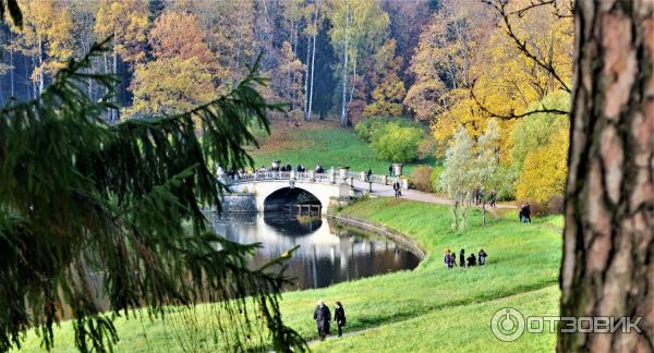 Прогулка по Павловскому парку (Россия, Санкт-Петербург, Павловск) фото