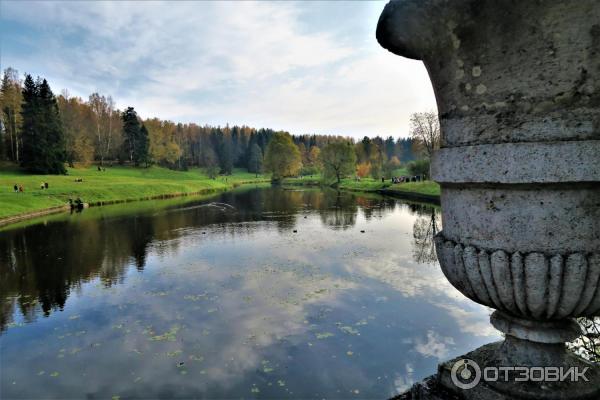 Прогулка по Павловскому парку (Россия, Санкт-Петербург, Павловск) фото