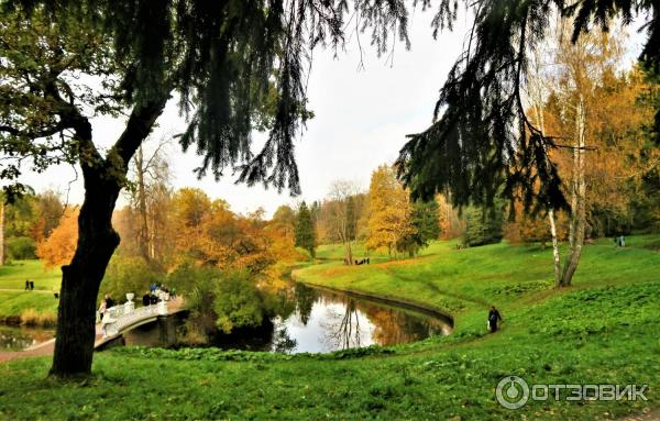 Прогулка по Павловскому парку (Россия, Санкт-Петербург, Павловск) фото