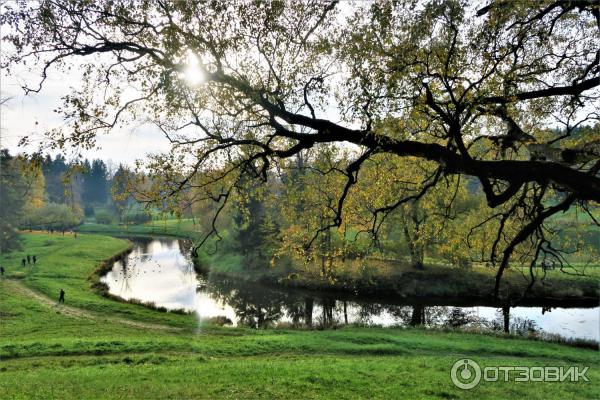 Прогулка по Павловскому парку (Россия, Санкт-Петербург, Павловск) фото