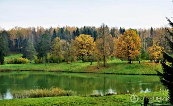 Прогулка по Павловскому парку (Россия, Санкт-Петербург, Павловск) фото