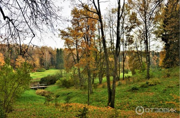 Прогулка по Павловскому парку (Россия, Санкт-Петербург, Павловск) фото