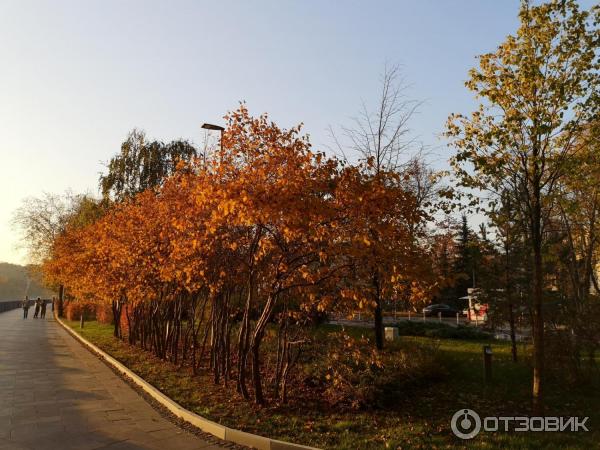 Экскурсия в Лужники (Россия, Москва) фото