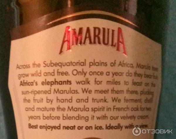 Amarula Cream marula fruit