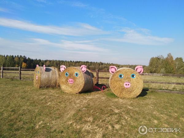 Музейный комплекс Дудутки (Беларусь, Минская область) фото