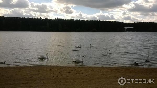 Санаторий Белорусочка (Беларусь, Ждановичи) фото