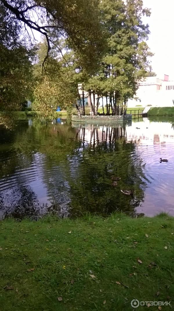 Санаторий Белорусочка (Беларусь, Ждановичи) фото