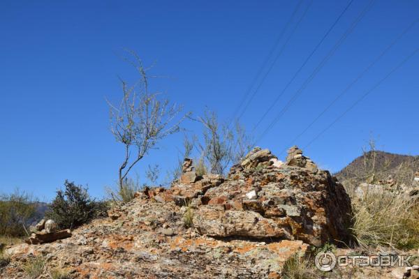 Место слияния Катуни и Чуи (Россия, Алтай) фото