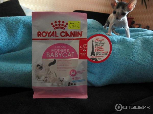 Сухой корм Royal Canin Mother&BabyCat для котят от 1 до 4 мес. и для беременных/лактирующих кошек фото