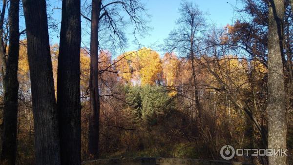 спасское-лутовиново