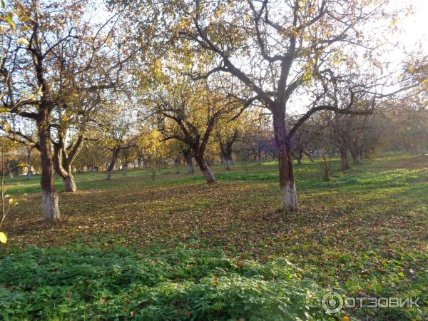 спасское-лутовиново