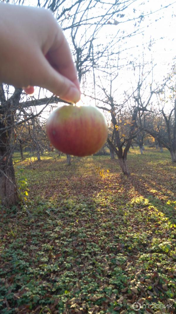 спасское-лутовиново