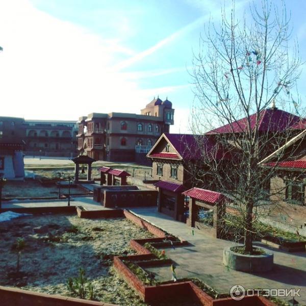 Вид из номера