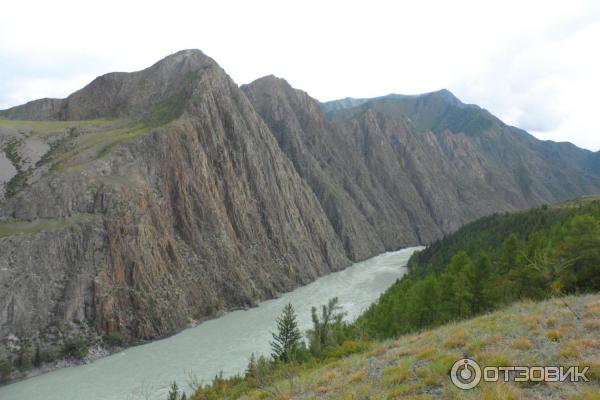 Место слияния Катуни и Чуи (Россия, Алтай) фото