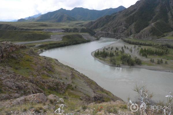 Место слияния Катуни и Чуи (Россия, Алтай) фото