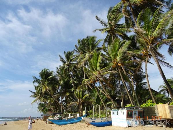 Шри Ланка. Пляжи Hikkaduwa Beach и Narigama Beach