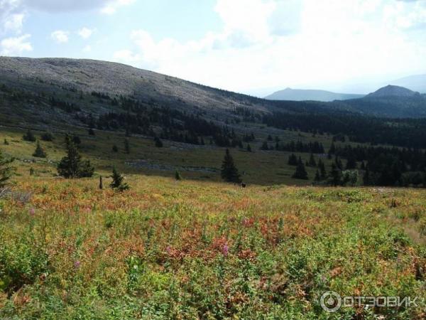 Гора Иремель (Башкирия, Белорецкий район) фото