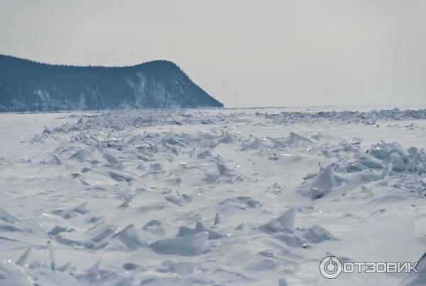 Выставка Зимний Байкал в Государственном Дарвиновском музее (Россия, Москва) фото