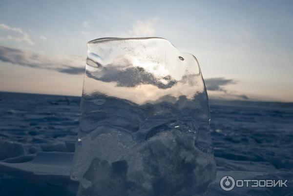 Выставка Зимний Байкал в Государственном Дарвиновском музее (Россия, Москва) фото