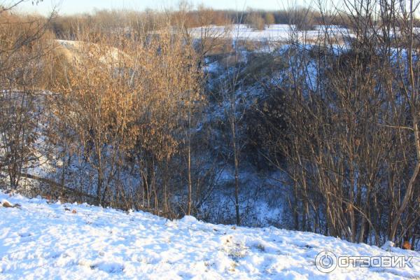 Дворец царя Алексея Михайловича в Коломенском (Россия, Москва) фото