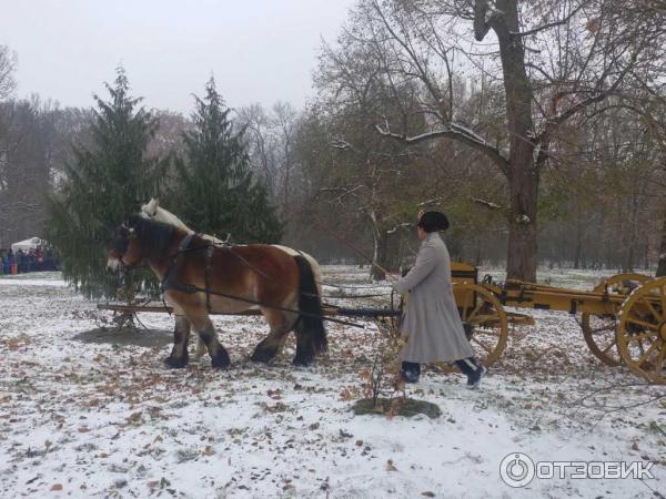 Военно-историческая реконструкция сражения при Аустерлице (Чехия. Славков) фото