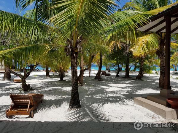 Туристическая компания ICS Travel Group фото