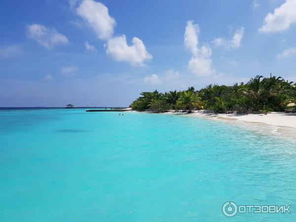Туристическая компания ICS Travel Group фото