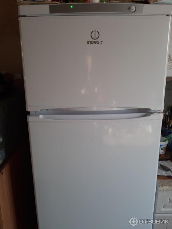 Холодильник Indesit ST167 фото