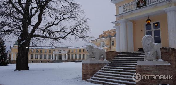 Усадьба Марьино (Россия, Ленинградская область) фото