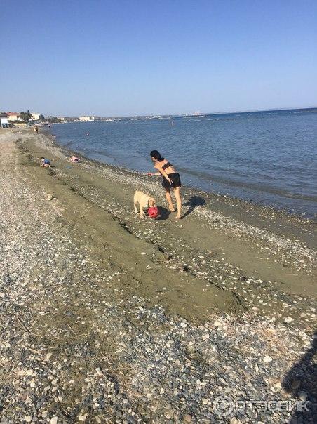 пошли гулять по берегу в сторону айя напы) вот такой пляж, можно идти очень далеко)