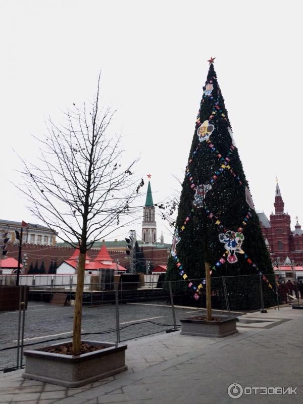 Экскурсия на двухэтажном автобусе City Sightseeing по Москве (Россия, Москва) фото