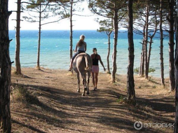 Отдых в поселке Учкуевка (Крым, Севастополь) фото