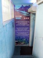 Океанариум "Морской аквариум на Чистых прудах" (Россия, Москва) фото