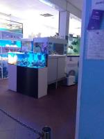 Океанариум "Морской аквариум на Чистых прудах" (Россия, Москва) фото