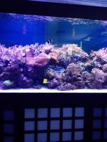 Океанариум "Морской аквариум на Чистых прудах" (Россия, Москва) фото