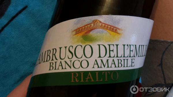 Вино Lambrusco Dell'Emilia Rialto Rosso Amabile фото