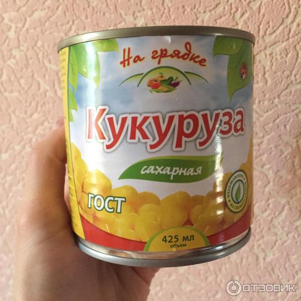 Кукуруза на грядке