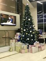 Санаторий "Сибиряк" (Россия, Бердск) фото