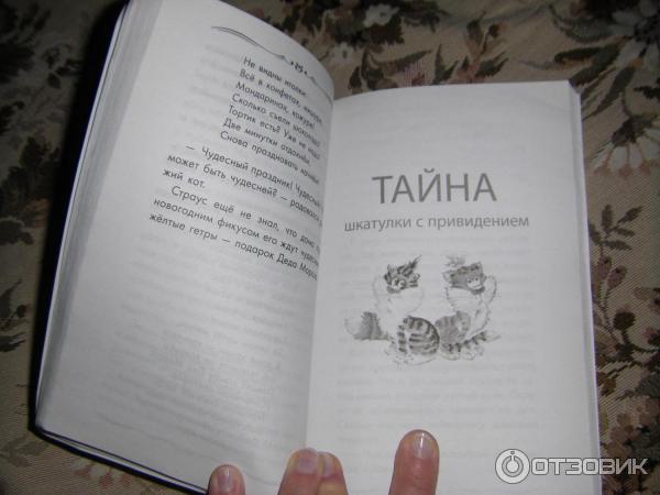 Читать тайна дзен. Тайна шкатулки с привидением. Тайна форта с привидениями Франклин Диксон. Встречи с призраками книга.