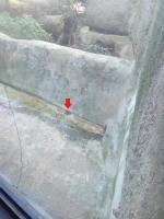 Московский Зоопарк (Россия, Москва) фото