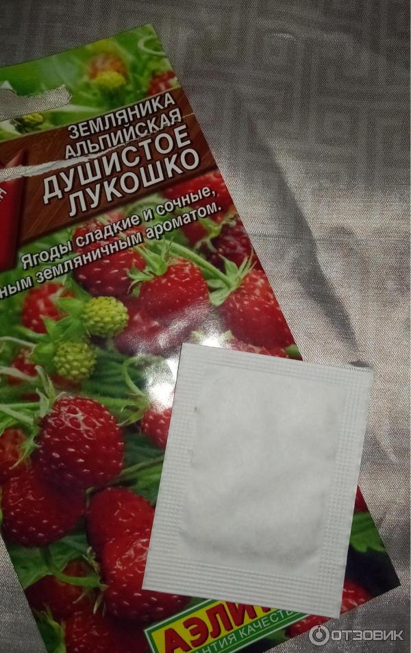 Секреты успешного полива и удобрения