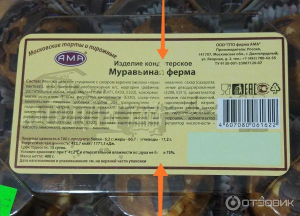 Изделие кондитерское Муравьиная ферма фото