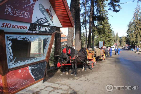 Горнолыжный курорт Боровец (Болгария) фото